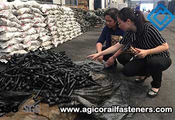Philippine Customer Visits AGICO For Screw Spike Order