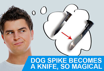 Dog Spike Becomes a Knife, So Magical